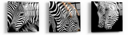 Cortesi Home Zebra Stripes Tempered Glass Wall Art, 12