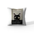 'Kitty Mugshot' by Nicklas Gustafsson, Decorative Soft Velvet Square 18"x18" Accent Throw Pillow with Insert