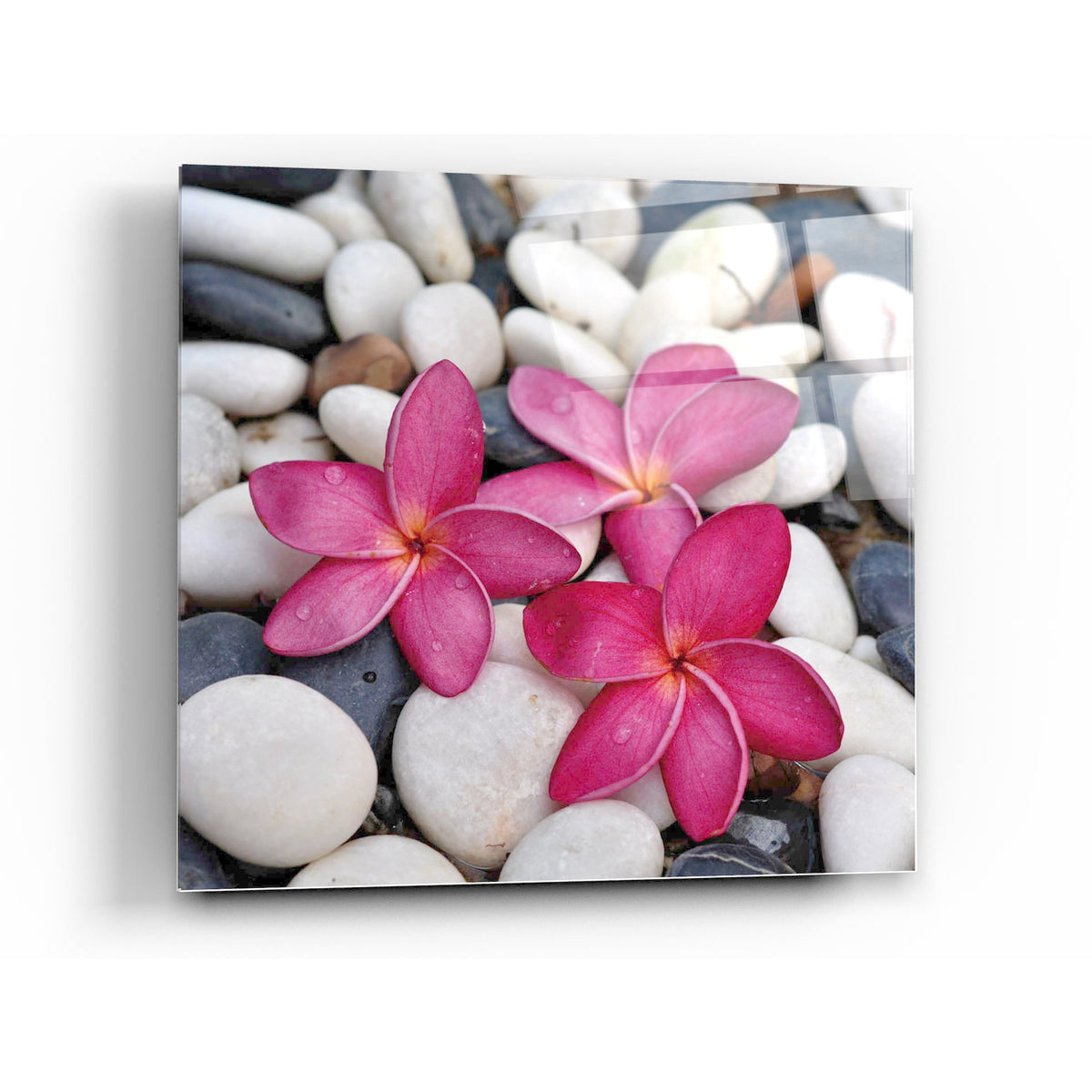 Shintai II Tempered Glass Wall Art, 12" x 12"