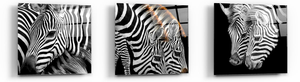 Zebra Stripes Tempered Glass Wall Art, 12" x 12" (Set of 3)