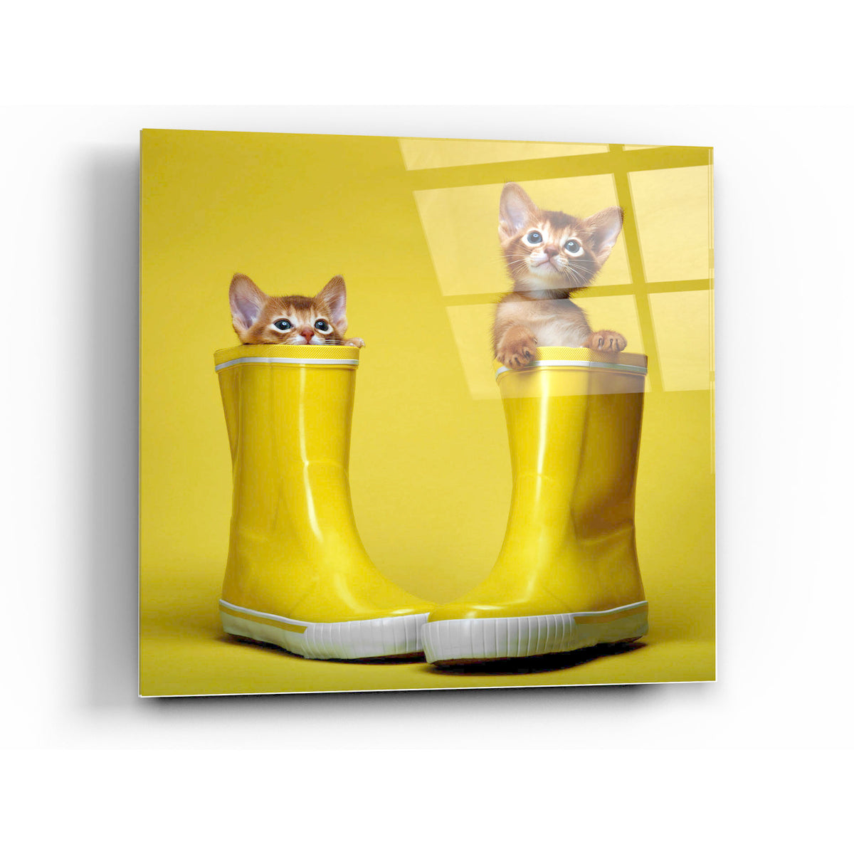 Cortesi Home Puss in Boots Tempered Glass Wall Art, 12" x 12"