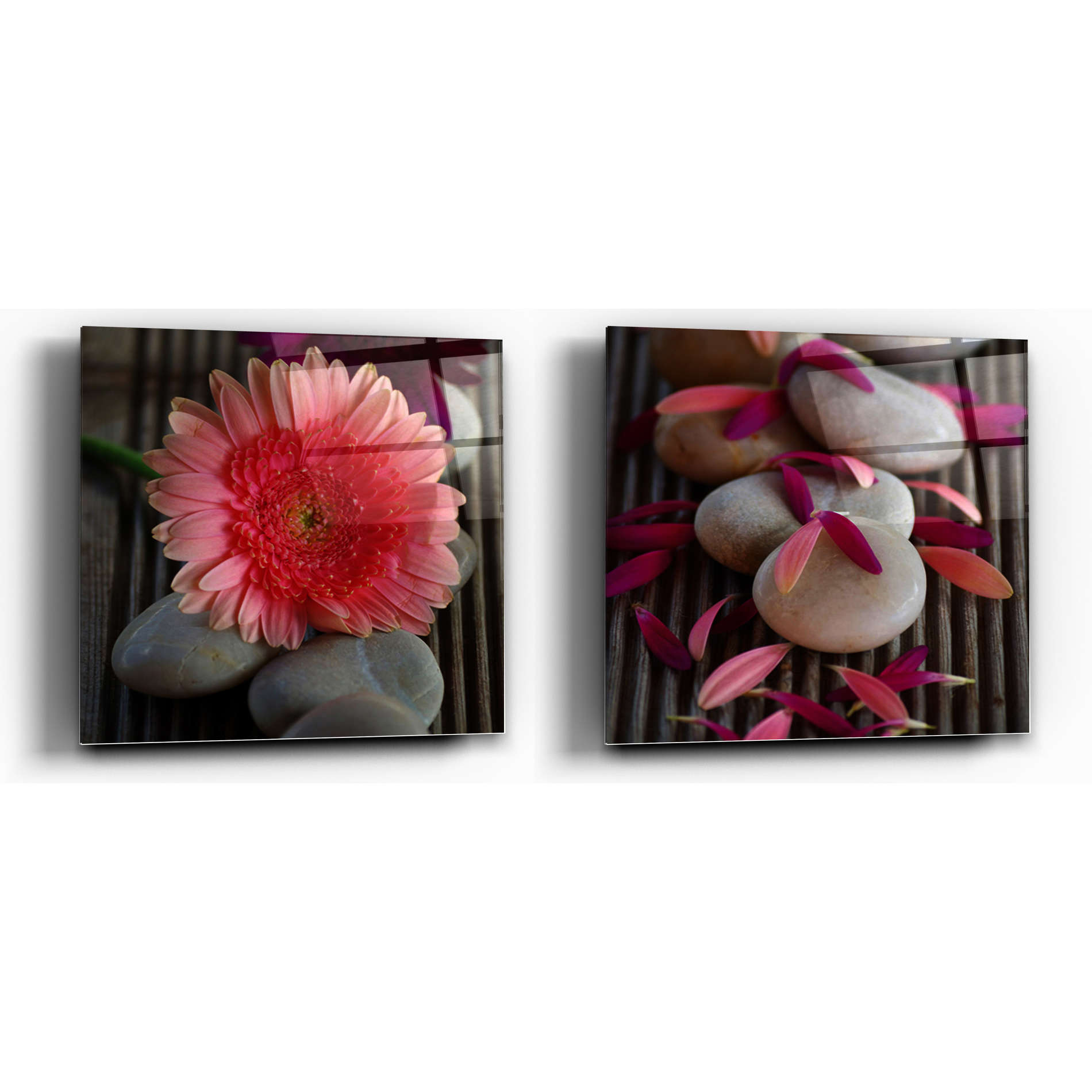 Beauty in Bloom Tempered Glass Wall Art, 12" x 12" (Matching set of 2)