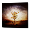 Cortesi Home "Finding" by Mario Sanchez Nevado, Giclee Canvas Wall Art