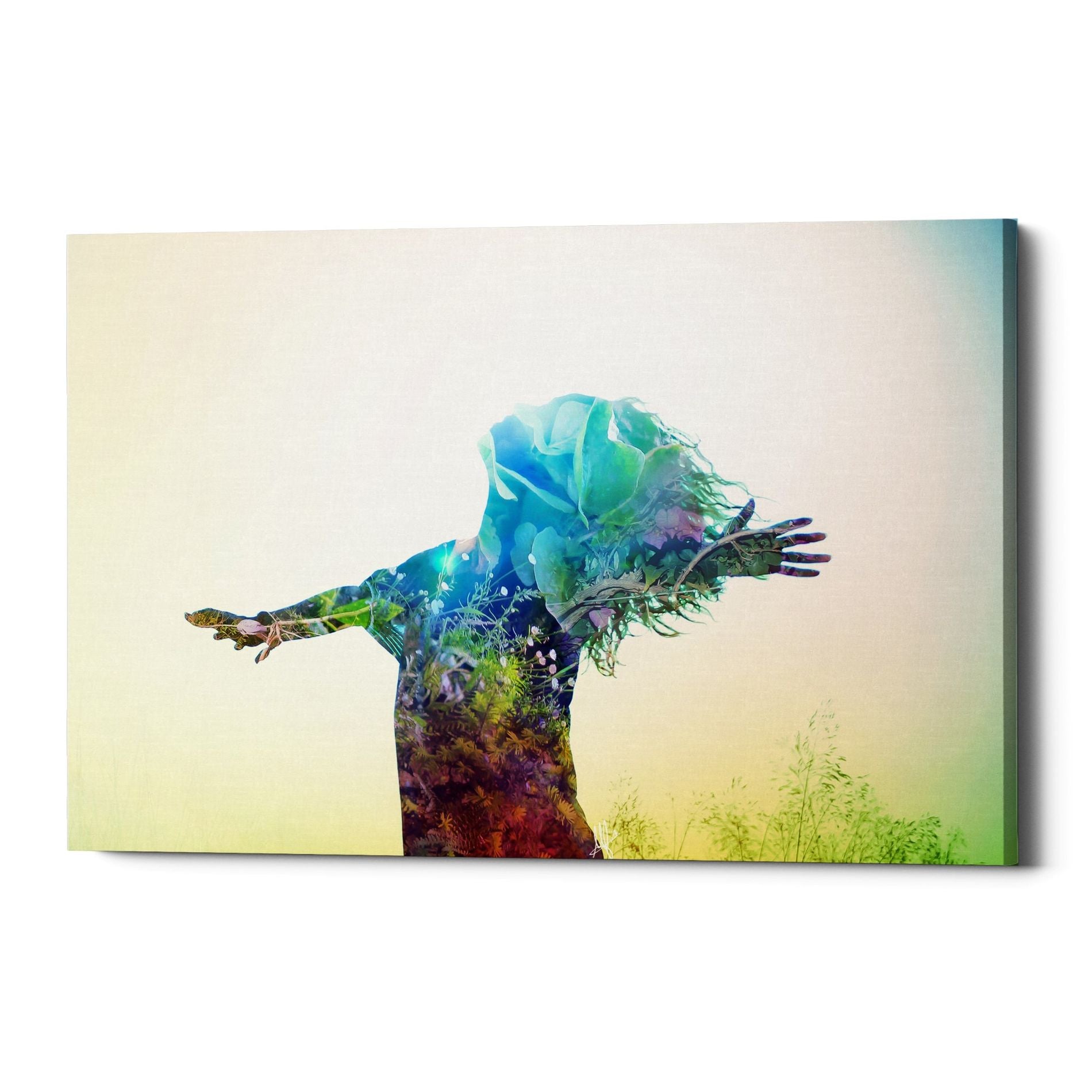 Cortesi Home "Release" by Mario Sanchez Nevado, Giclee Canvas Wall Art