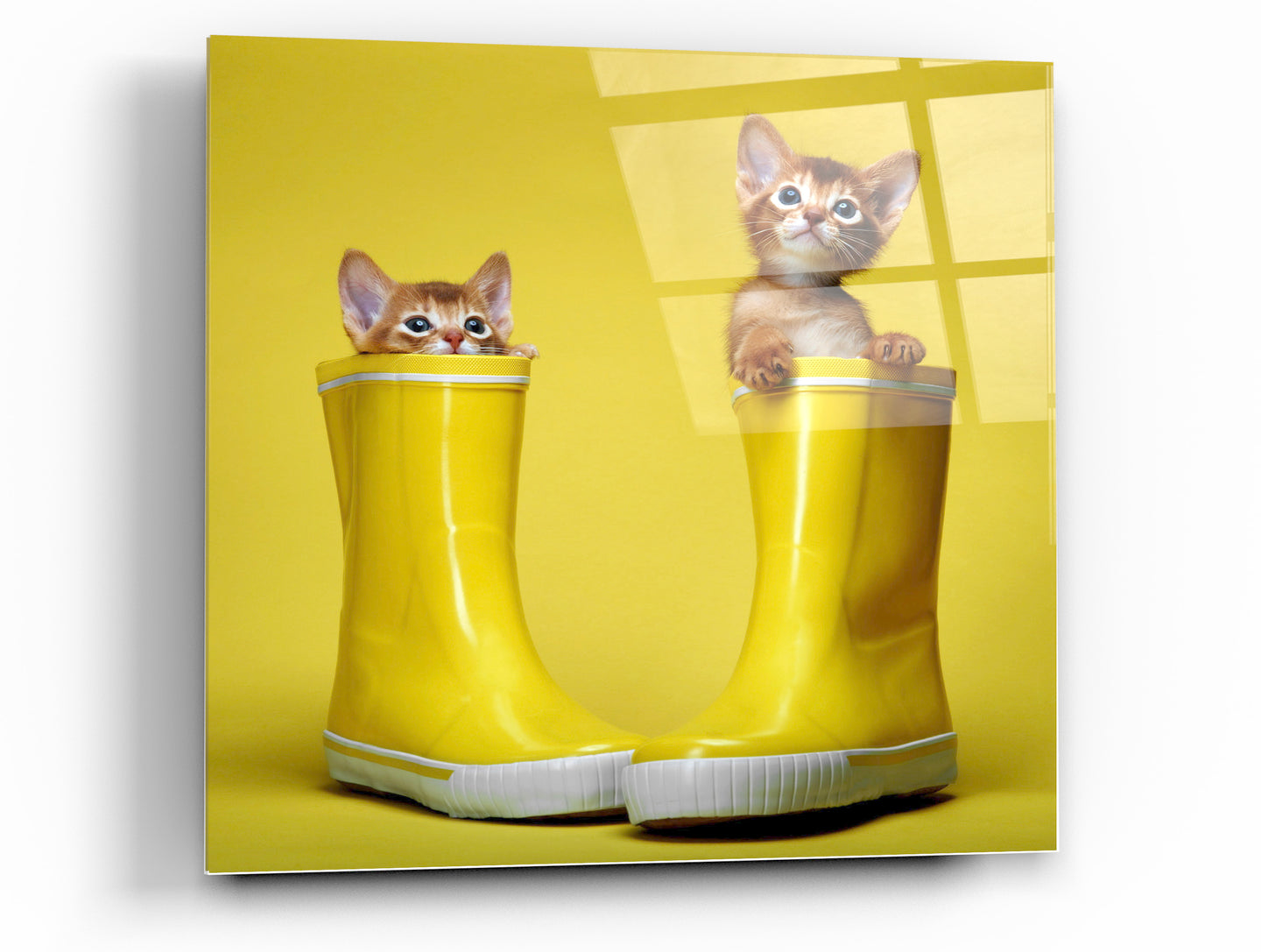 Cortesi Home Puss in Boots Tempered Glass Wall Art, 12